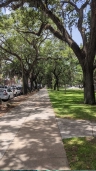 Bay Street, Savannah